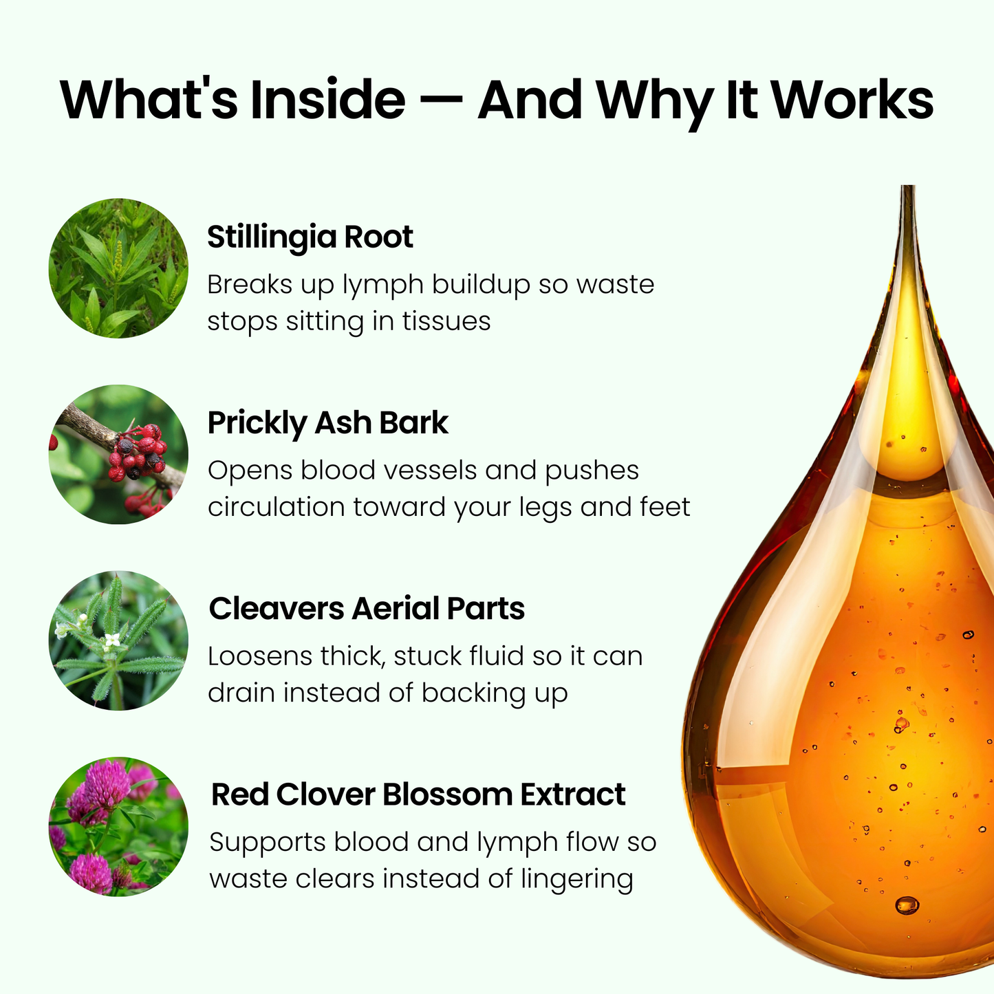 Lymphatic Support Drops